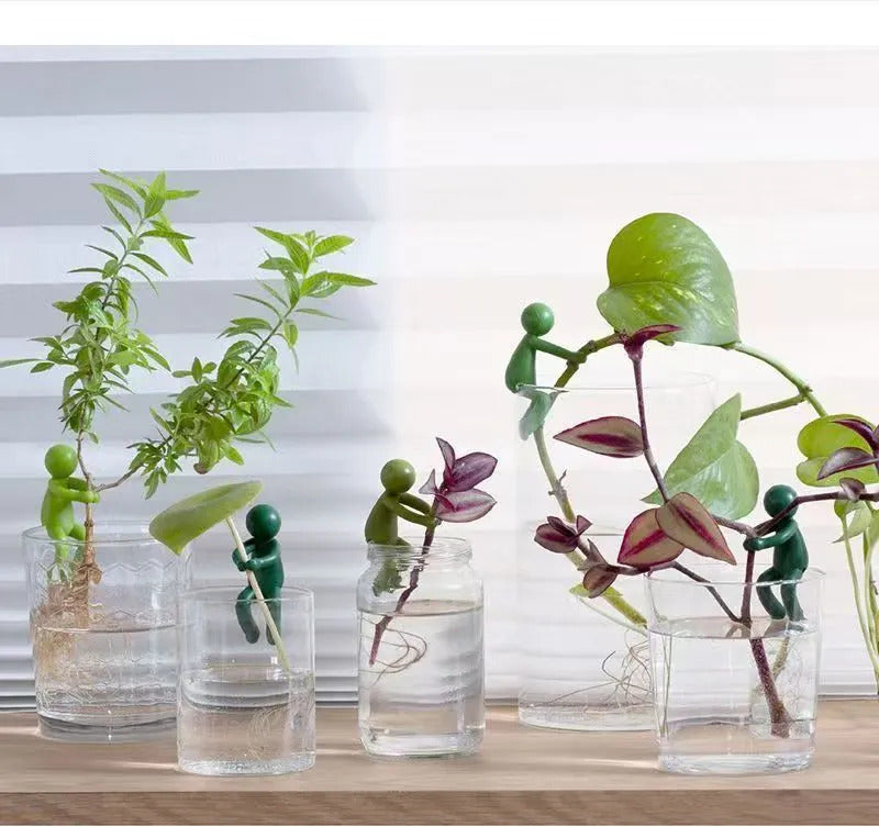 Hydroponic Plant Fixing Bracket Can Support A Variety Of Plants Green Plant Decoration