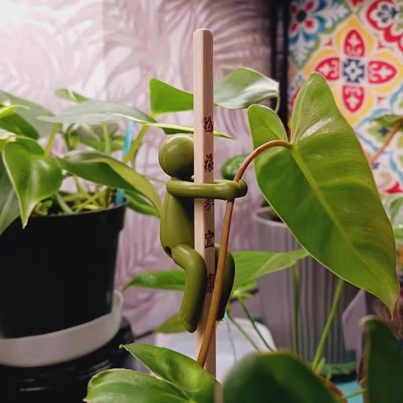 Hydroponic Plant Fixing Bracket Can Support A Variety Of Plants Green Plant Decoration